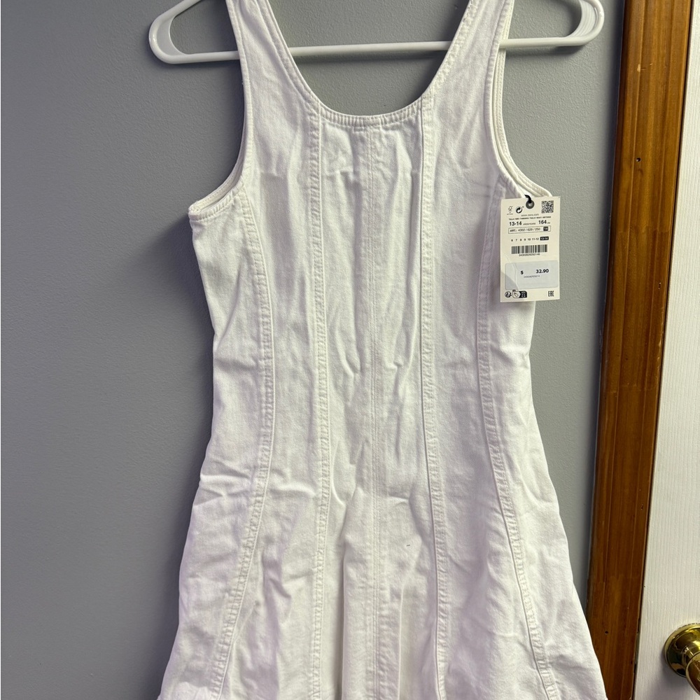 Zara Denim Dress